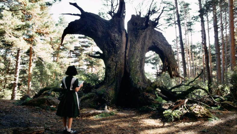 Best-Movies-For-Liberals-Streaming-This-Month