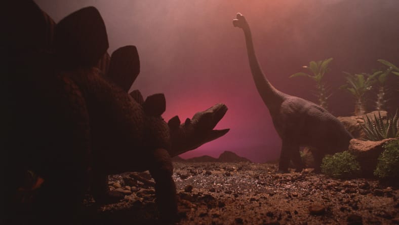 Two Different Species Of Dinosaurs.