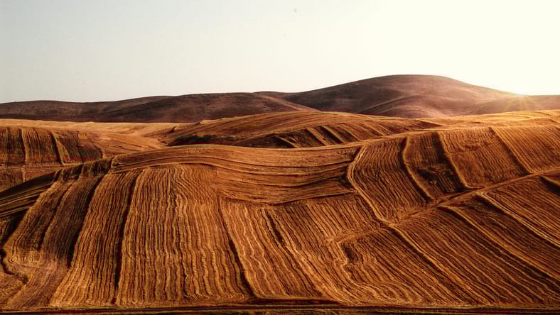 The Best Movies Set In The Desert.