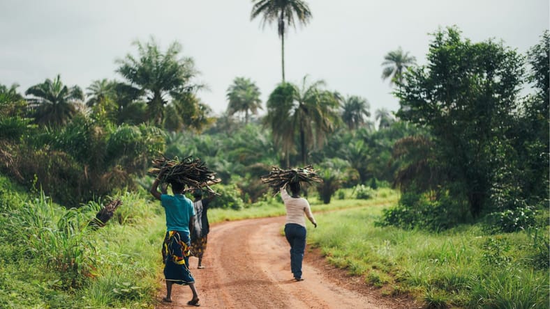 Best Movies Filmed In Africa, Unsplash