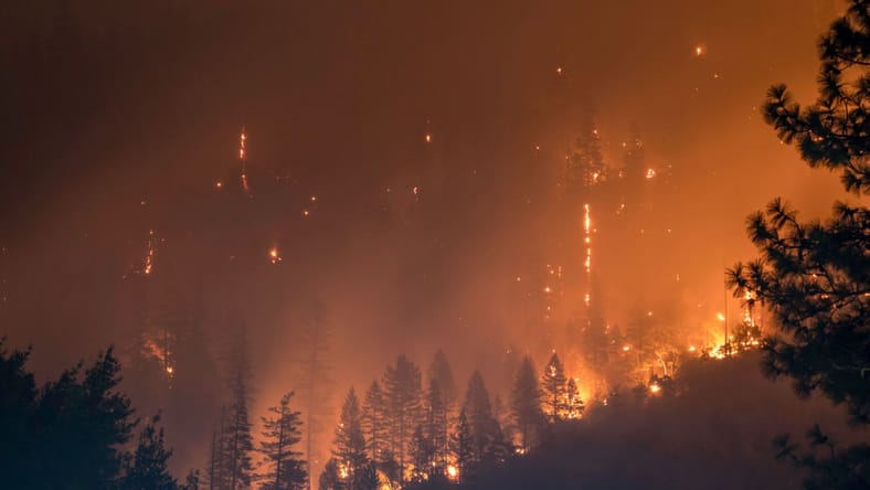 Best Natural Disaster Movies Ever Made, Unsplash