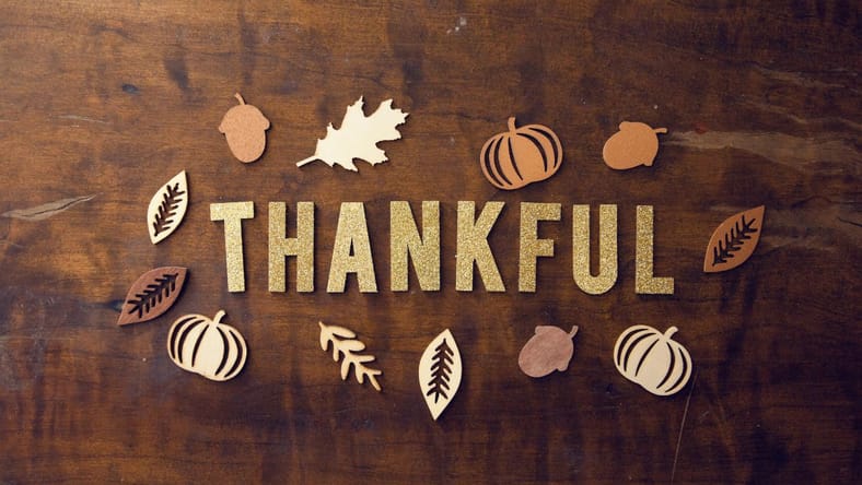 15 Best Thanksgiving Movies Streaming Right Now 2 Best Thanksgiving Movies, Unsplash