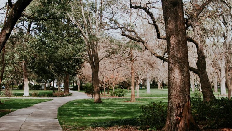 Movies Filmed In Savannah Ga, Unsplash