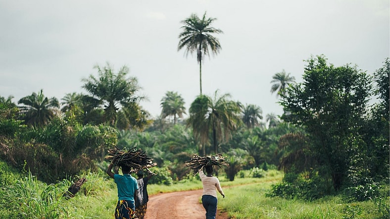 Best Movies Filmed In Africa, Unsplash