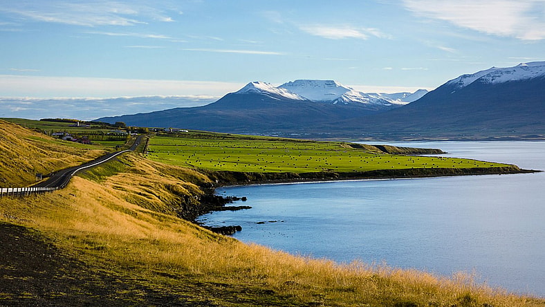 Best Movies Filmed In Iceland, Unsplash