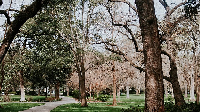 6 Enchanting Movies Filmed In Savannah 2 Movies Filmed In Savannah Ga, Unsplash