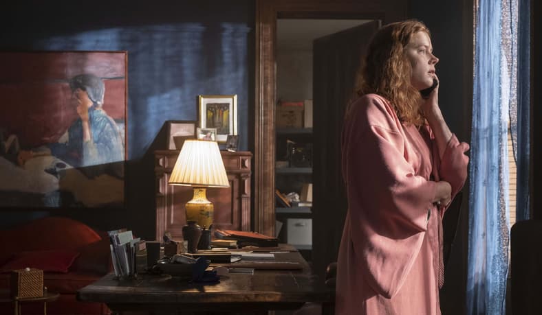 The Woman In The Window