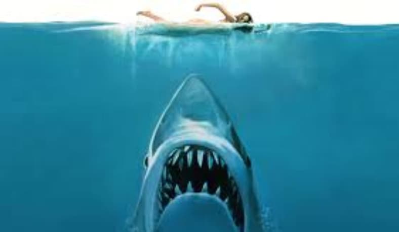 8 Movie Quotes Everyone Gets Wrong 6 Jaws