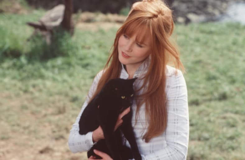 6 Best Nicole Kidman Movies, Ranked 6 Practical Magic