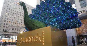 Nbc Peacock Release Date, Cost, And Much More 16 Nbc-Peacock-Release-Date-Cost-And-Much-More