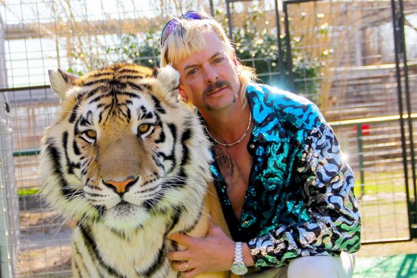 &Quot;Tiger King: Murder, Mayhem, And Madness&Quot; Review And More 1 Tiger-King-Murder-Mayhem-And-Madness-Review-And-More