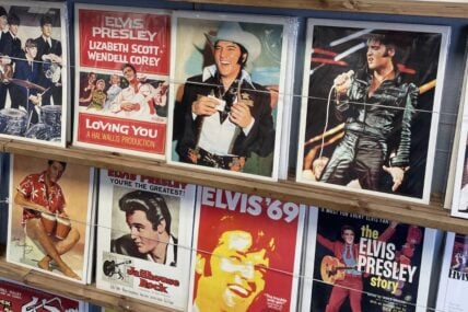 Best Elvis Movies And Where To Watch Them