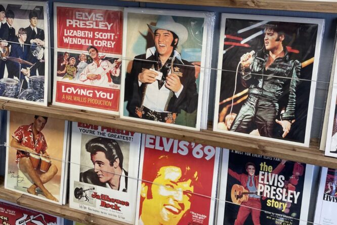 Best Elvis Movies And Where To Watch Them