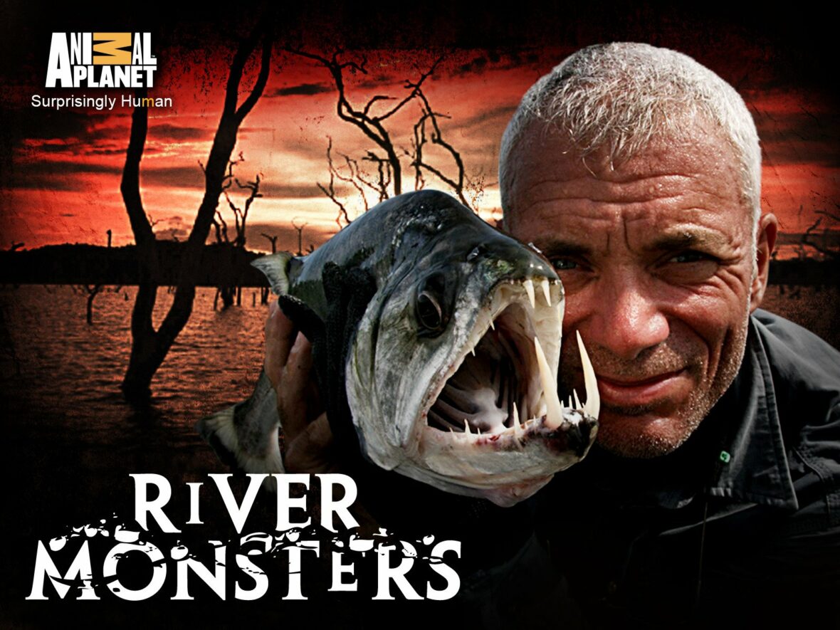 8 Best Fishing Shows And Where To Stream Them 15 8 Best Fishing Shows And Where To Stream Them