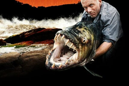 Best Fishing Shows