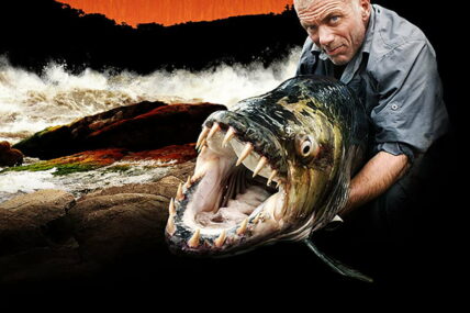 8 Best Fishing Shows And Where To Stream Them 16 Best Fishing Shows
