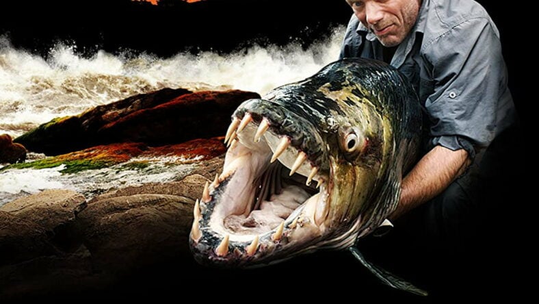 Best Fishing Shows
