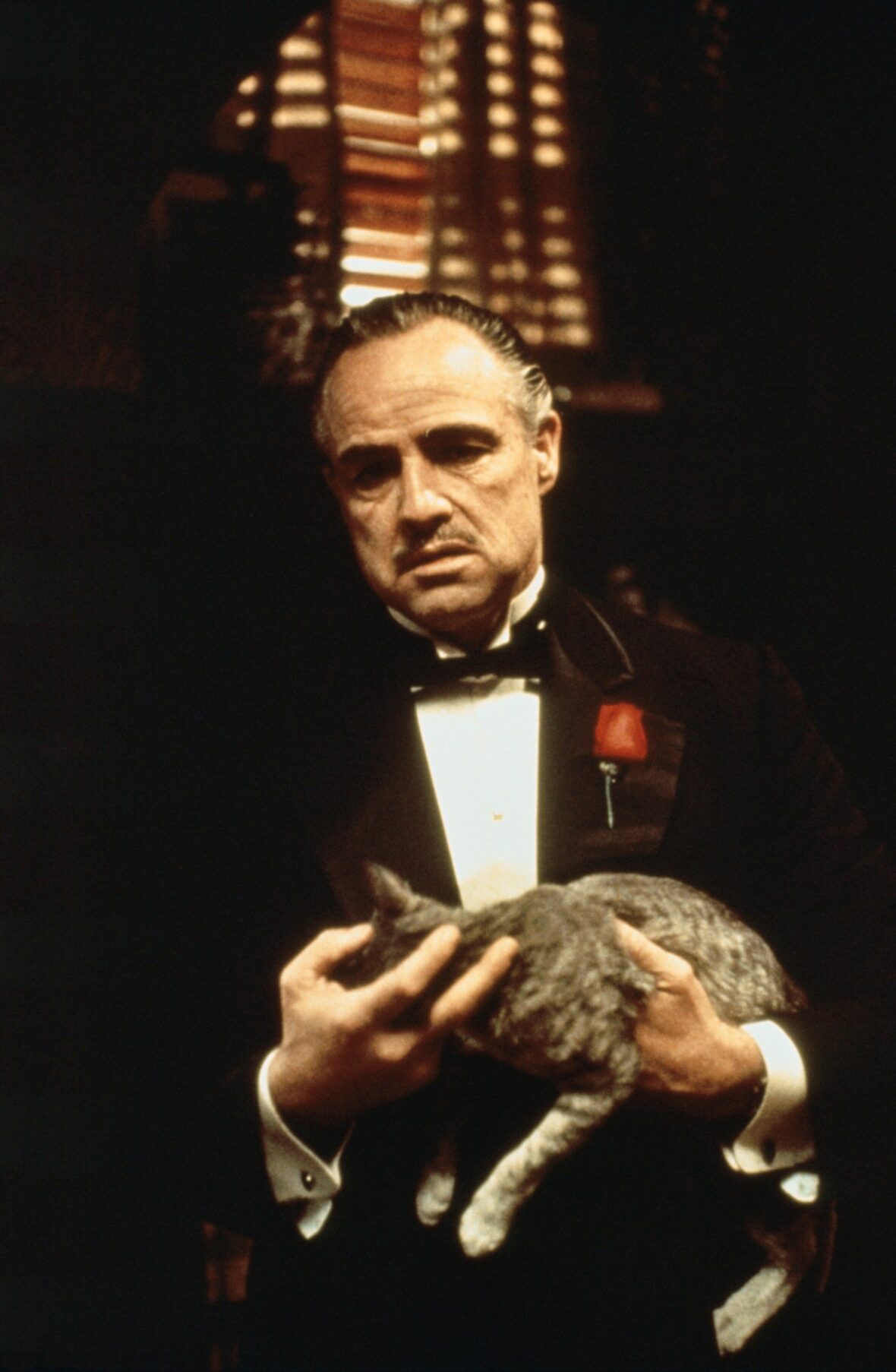 10 Best Al Pacino Movies And Where To Stream Them 1 Best Al Pacino Movies: The Godfather