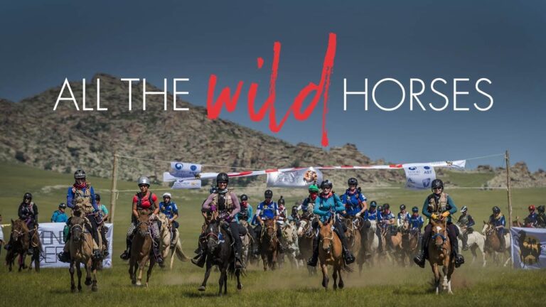 all the wild horses movie