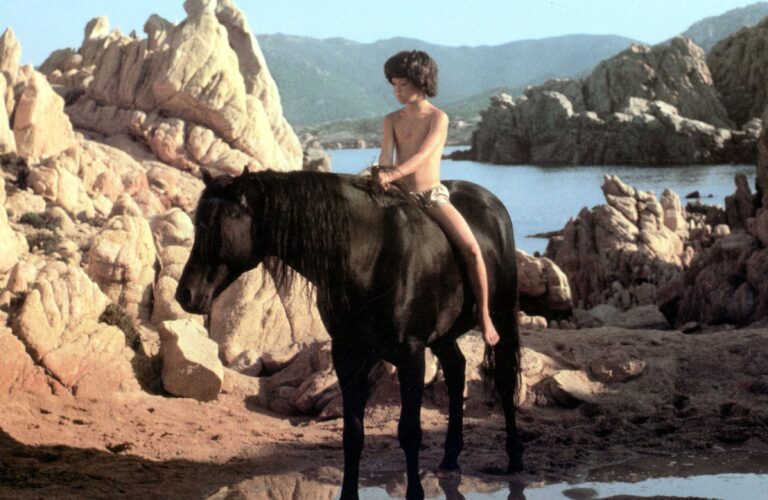 The Black Stallion; Horse Movies
