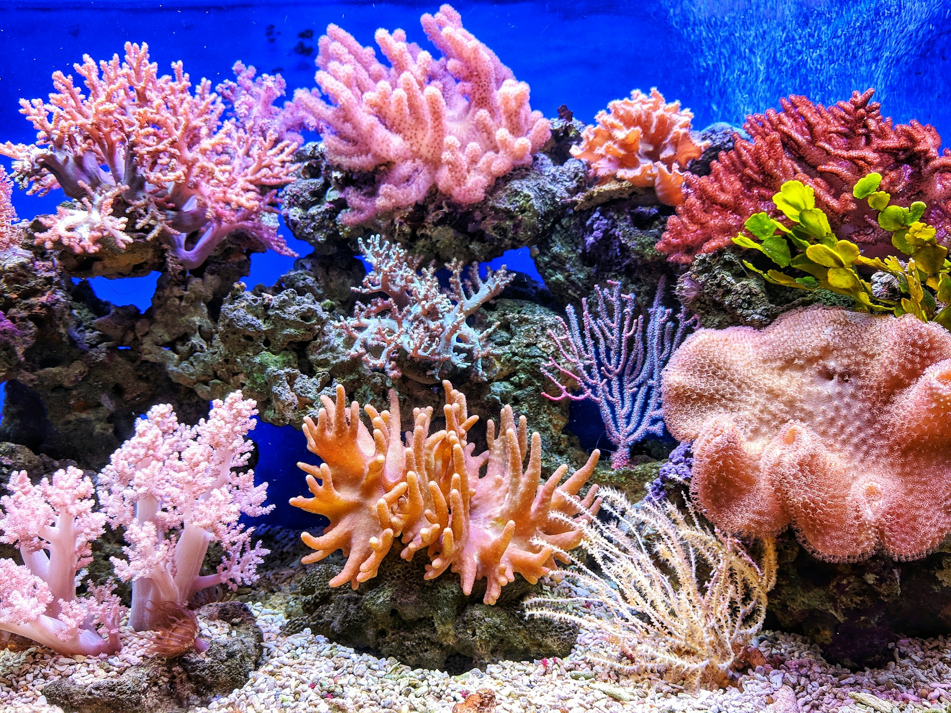 15 Best Ocean Documentaries