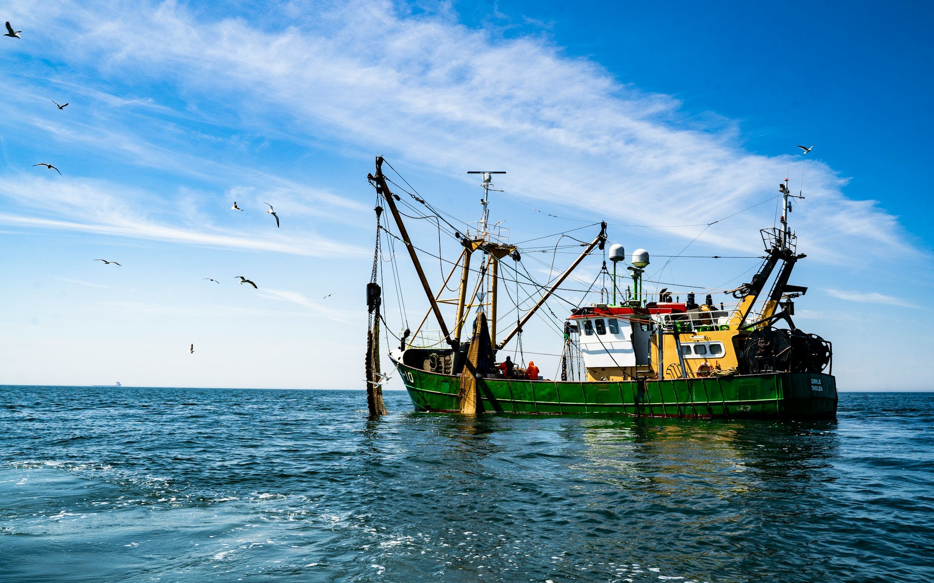 15 Best Ocean Documentaries