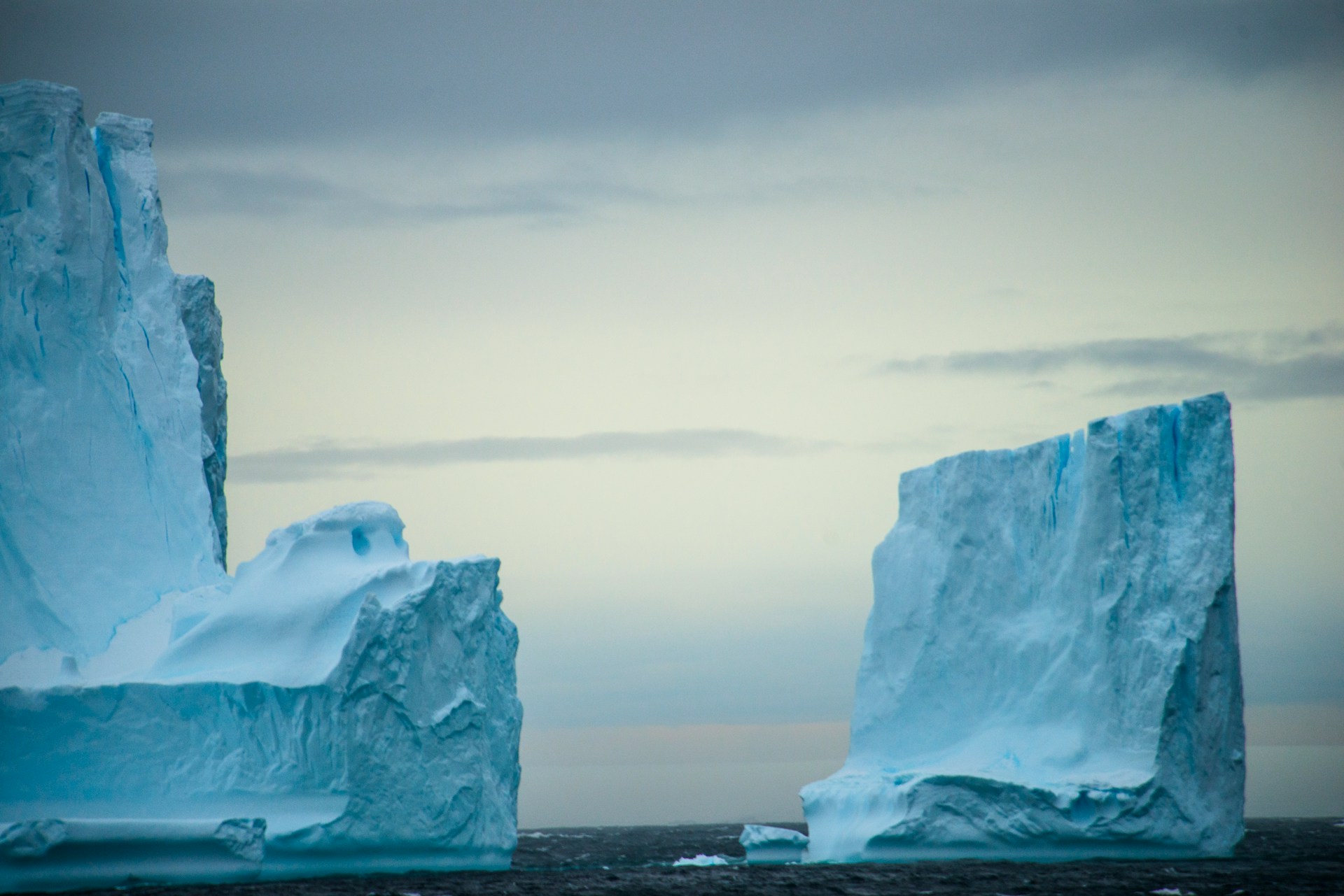 15 Best Ocean Documentaries