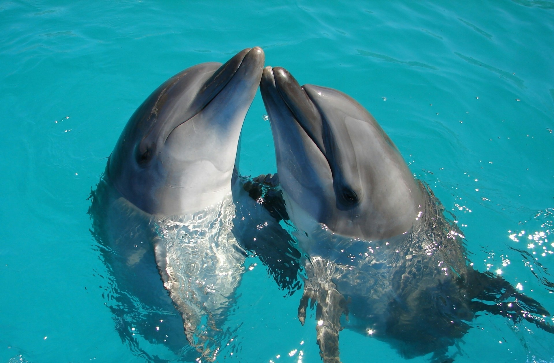 15 Best Ocean Documentaries