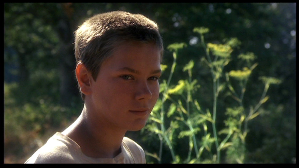 12 Movies That Feel Like Summer