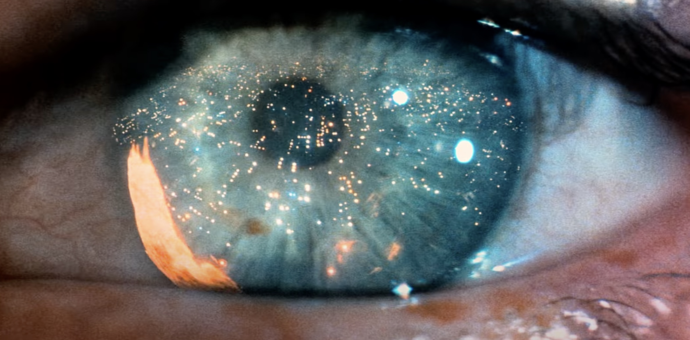 6 Most Puzzling Science Fiction Films Ever Made
