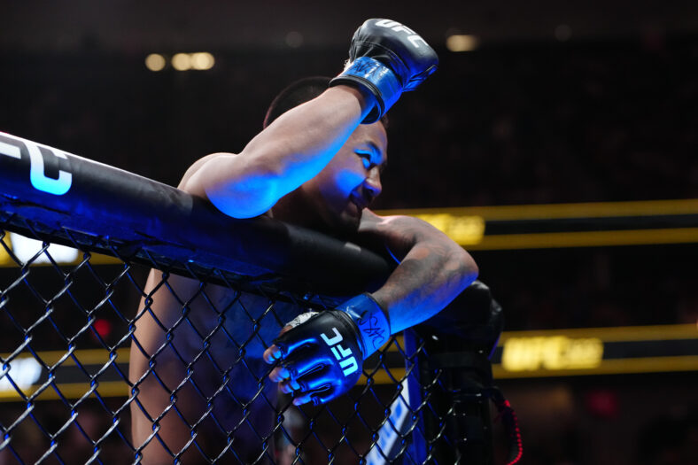 MMA: UFC 323 - Pantoja vs Van